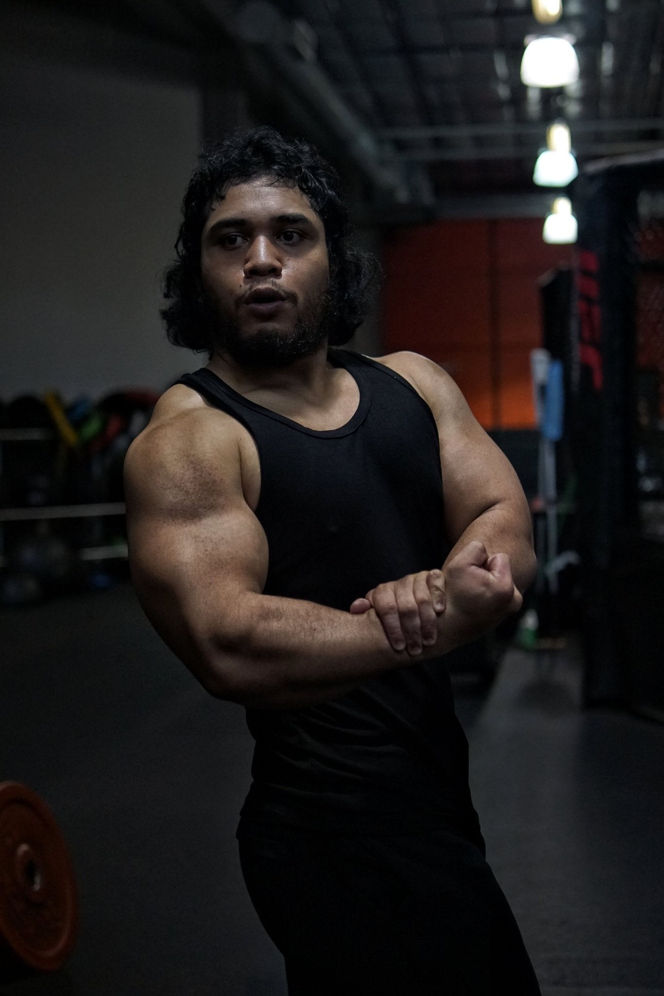 FSD Anabolic Beaters